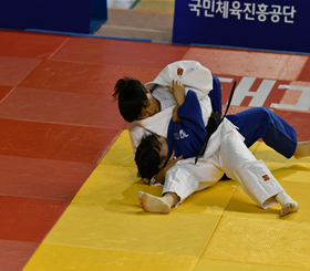 유도 기본방향 이미지